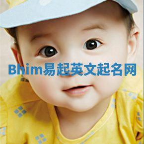 Bhim易起英文起名网 Bhim易起英文起名网