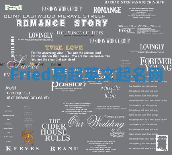 Fried易起英文起名网 Fried易起英文起名网