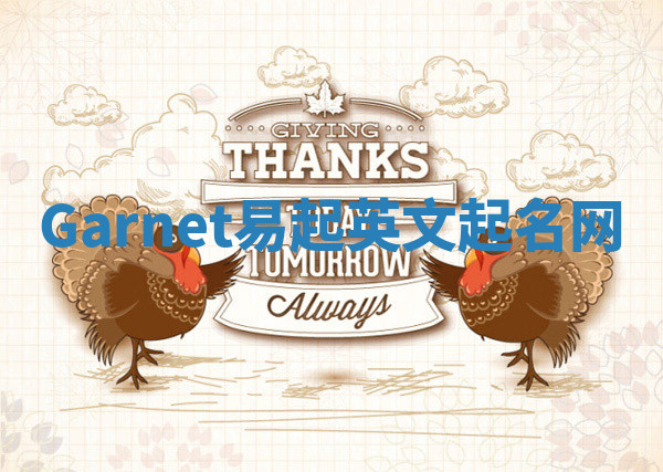Garnet易起英文起名网 Garnet易起英文起名网