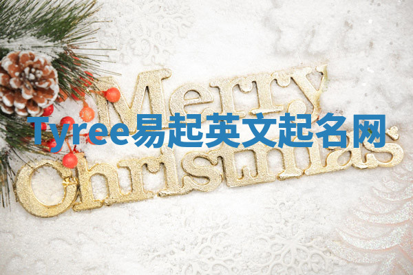 Tyree易起英文起名网 Tyree易起英文起名网