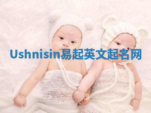 Ushnisin易起英文起名网 Ushnisin易起英文起名网
