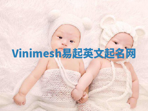Vinimesh易起英文起名网 Vinimesh易起英文起名网