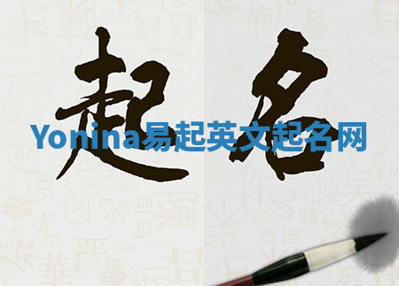 Yonina易起英文起名网