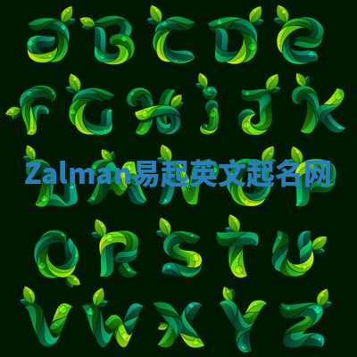 Zalman易起英文起名网